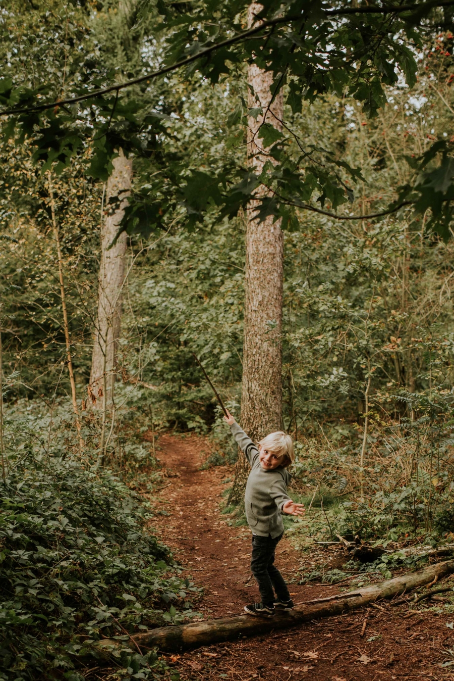 FIH Fotografie » Magische bos shoot